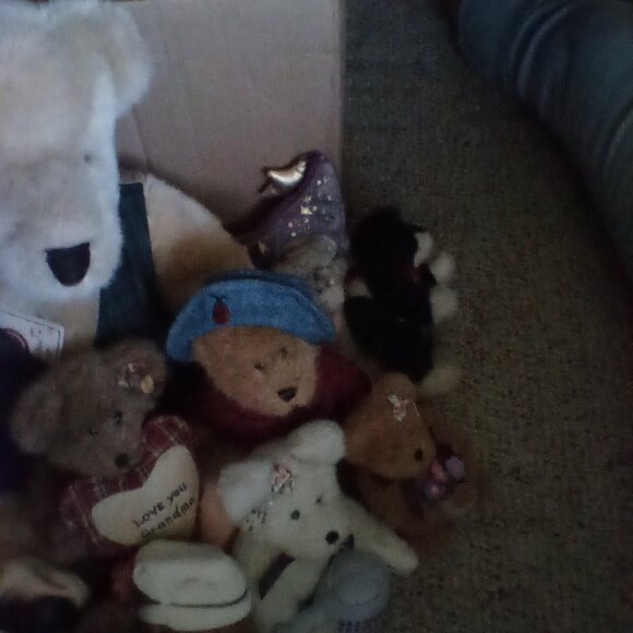 Boyd's bears - Picture 3 of 3